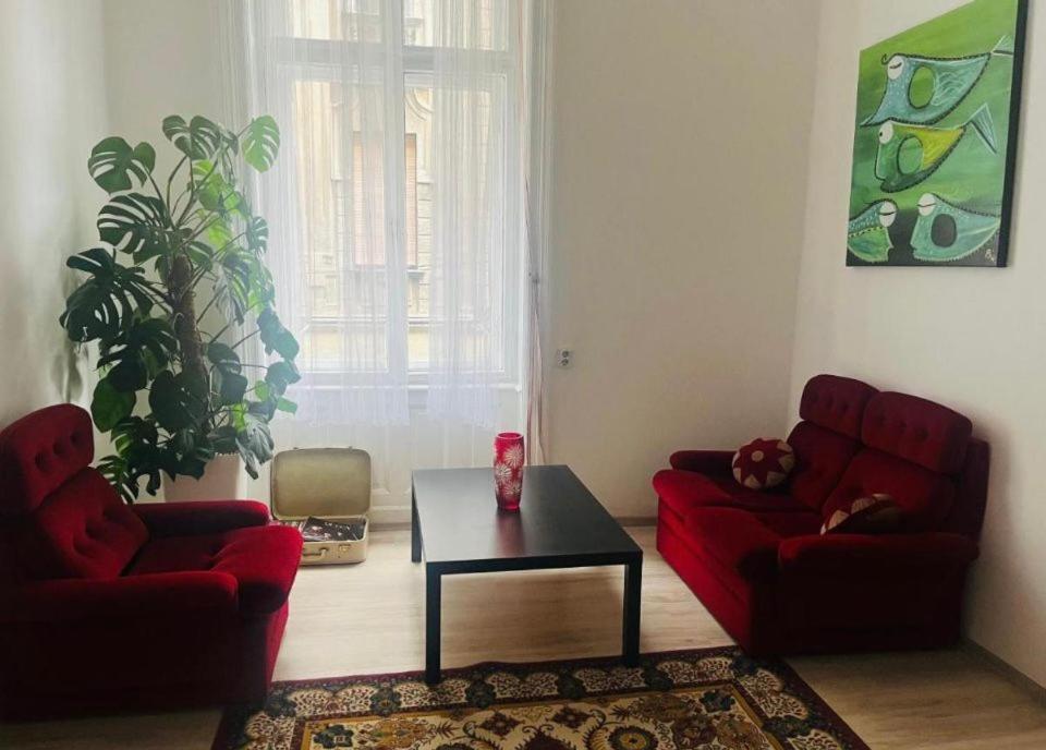 Ejjeli Majom Hostel Budapest Bagian luar foto